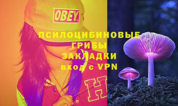 mdpv Богородск