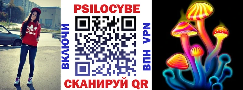 Псилоцибиновые грибы Psilocybine cubensis  Купить  Кремёнки 